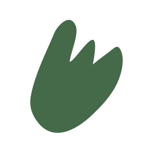 Intuitive Pilates Brand Circle
