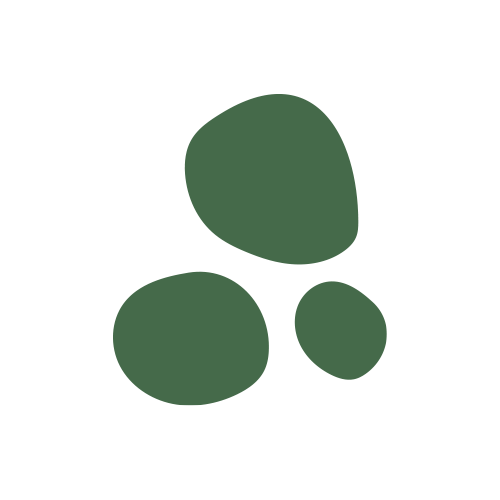Intuitive Pilates Brand Circle
