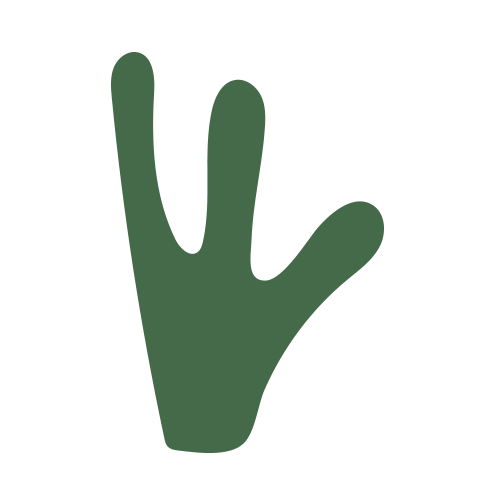 Intuitive Pilates Brand Circle