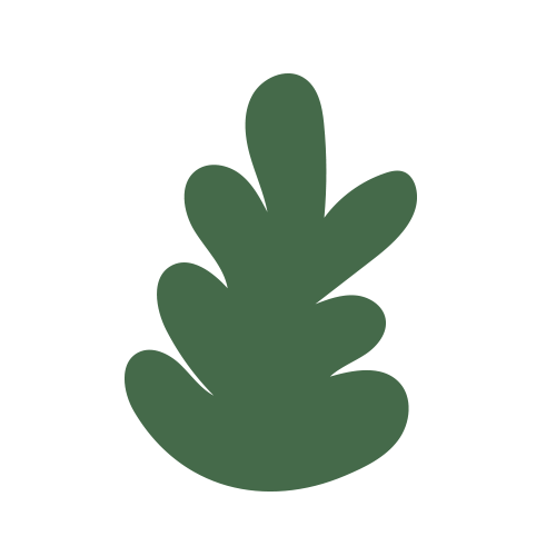 Intuitive Pilates Brand Circle